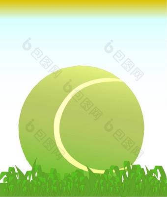网球球草