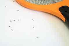 蚊子这电蚊子苍蝇拍