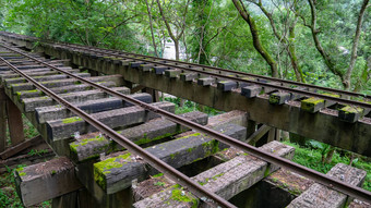 火车跟踪<strong>铁路铁路</strong>桥森林背景