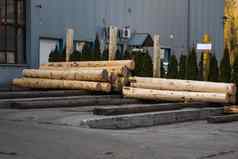 木日志锯木厂准备锯切割行木材行业桩日志谎言平台处理木材锯木厂