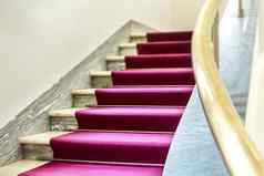 优雅的楼梯紫色的天鹅绒地毯步骤黄铜扶手