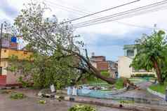 圣诞老人明确古巴9月树下降地面损害飓风厄玛通过岛古巴