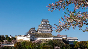 海梅吉城堡<strong>樱花</strong>樱桃花朵<strong>日本</strong>海梅吉科比<strong>日本</strong>