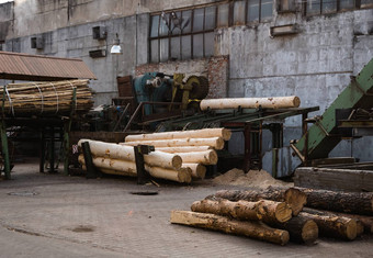 树皮删除大日志锯木厂准备木日志锯切割行机木材行业桩日志谎言平台处理木材锯木厂