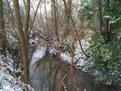 小河流动冬天景观