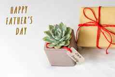 快乐父亲的一天概念礼物盒子绿色仙人掌纸标签
