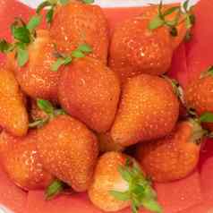 美味的草莓水果红色的泡沫垫背景