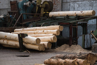 树皮删除大日志锯木厂准备木日志锯切割行机木材行业桩日志谎言平台处理木材锯木厂
