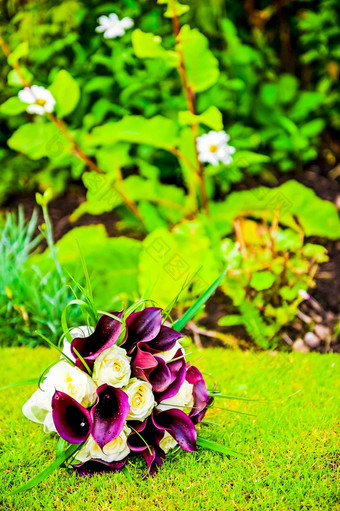图片婚礼花束婚礼花束紫色的马蹄莲百合草