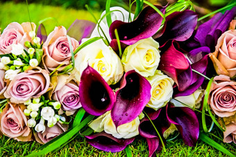 图片婚礼花束婚礼花束紫色的马蹄莲百合草