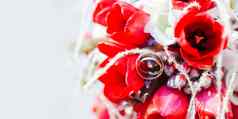 金婚礼环新娘花束象征爱婚姻花作文明亮的红色的郁金香背景复制空间