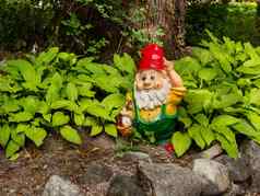 花园Gnome色彩斑斓的雕塑叶子hosta植物夏天日落花园