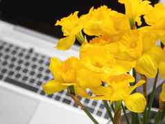花束那喀索斯水仙花玻璃花瓶银金属移动PC明亮的黄色的花可移植的设备木背景