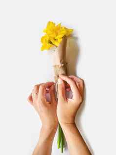 女人包装花束那喀索斯水仙花工艺纸明亮的黄色的花白色背景