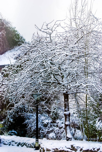 雪路湖区景观冬天