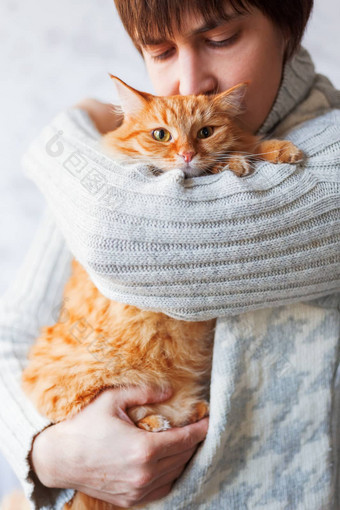 男人。针织毛衣持有可爱的姜猫宠物采用<strong>流浪</strong>猫首页毛茸茸的<strong>动物</strong>困惑