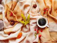 杯热咖啡下降叶子浆果米色围巾折叠温暖的附件秋天植物美味的饮料前视图平躺