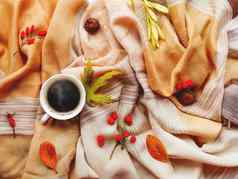 杯热咖啡下降叶子浆果米色围巾折叠温暖的附件秋天植物美味的饮料前视图平躺