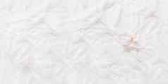 蝴蝶 兰兰花白色织物优雅的背景花折叠纺织舒适的静物背景