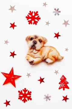 圣诞节假期背景装饰一年象征狗红色的银星星感觉雪花明星五彩纸屑平躺前视图白色背景