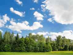 农村场自然背景绿色草蓝色的天空Cloudscape阳光明媚的一天俄罗斯