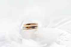 金婚礼环钻石白色丝绸织物传统的象征爱婚姻