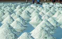 海盐农场泰国有机海盐蒸发哭