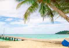美丽的视图热带天堂海滩度假胜地椰子树