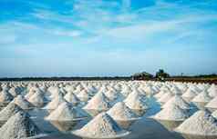 海盐农场精品泰国有机海盐生马特里