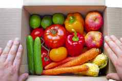 人开放交付纸板盒子生产水果蔬菜内部白色背景