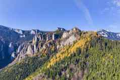 秋天山景观喀尔巴阡山黄色的落叶松树