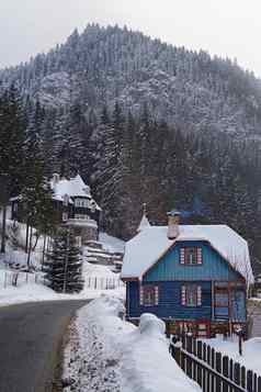 冬天场景雪覆盖房子森林路