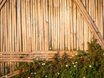 美丽的自然竹子栅栏墙背景