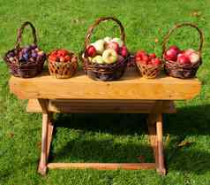 篮子李子草莓苹果