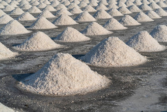 盐盐农场准备好了收获泰国