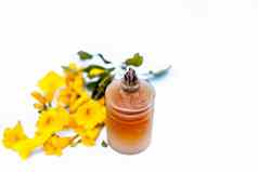 关闭黄色的彩色的花被称为黄蔓黄蔓cathartica黄蔓肖蒂孤立的白色Herbal花石油透明的瓶