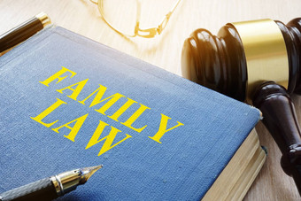 家庭法律眼镜法院表格