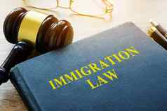 移民法律槌子法院