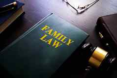 家庭法律表格孩子监护权离婚概念