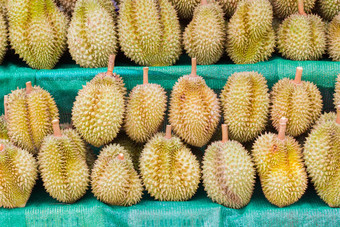 榴莲王水果销售泰国