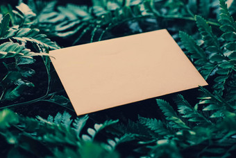 空白信封绿色叶子自然纸卡背景对应通讯