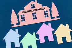 色彩斑斓的玩具房子蓝色的背景文本可假定的抵押贷款