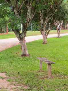 木板凳上路长满草的公园