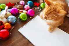可爱的姜猫说谎清晰的纸页面圣诞节一年装饰明亮的色彩斑斓的球记事本纸的备忘录一年承诺