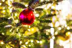 圣诞节一年背景冷杉树分支机构装饰光灯泡明亮的红色的球