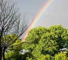 彩虹天空雨