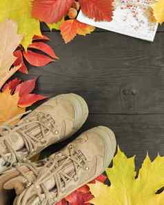 秋天叶子跟踪靴子地图黑色的背景树