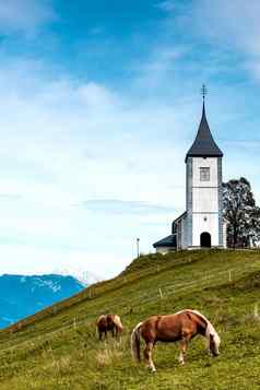 马放牧风景如画的教堂启动子贾姆尼克卡姆恩