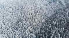 摘要冬天仙境松树雪覆盖空中dron