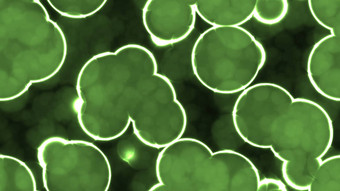 绿色发光发光的细胞无缝的背景纹理